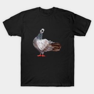 Curious Pigeon in Watercolor T-Shirt